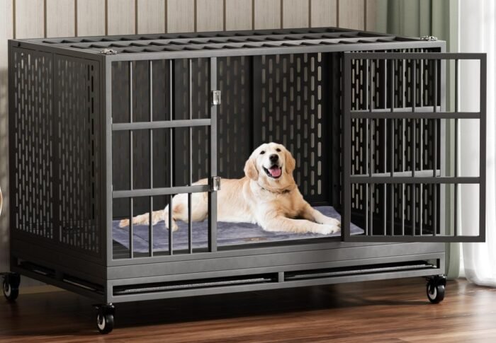 RERORD 48 Inch Heavy Duty Dog Crate Review