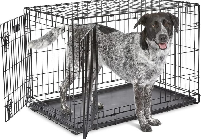 MidWest Homes for Pets iCrate Double Door Dog Crate Review