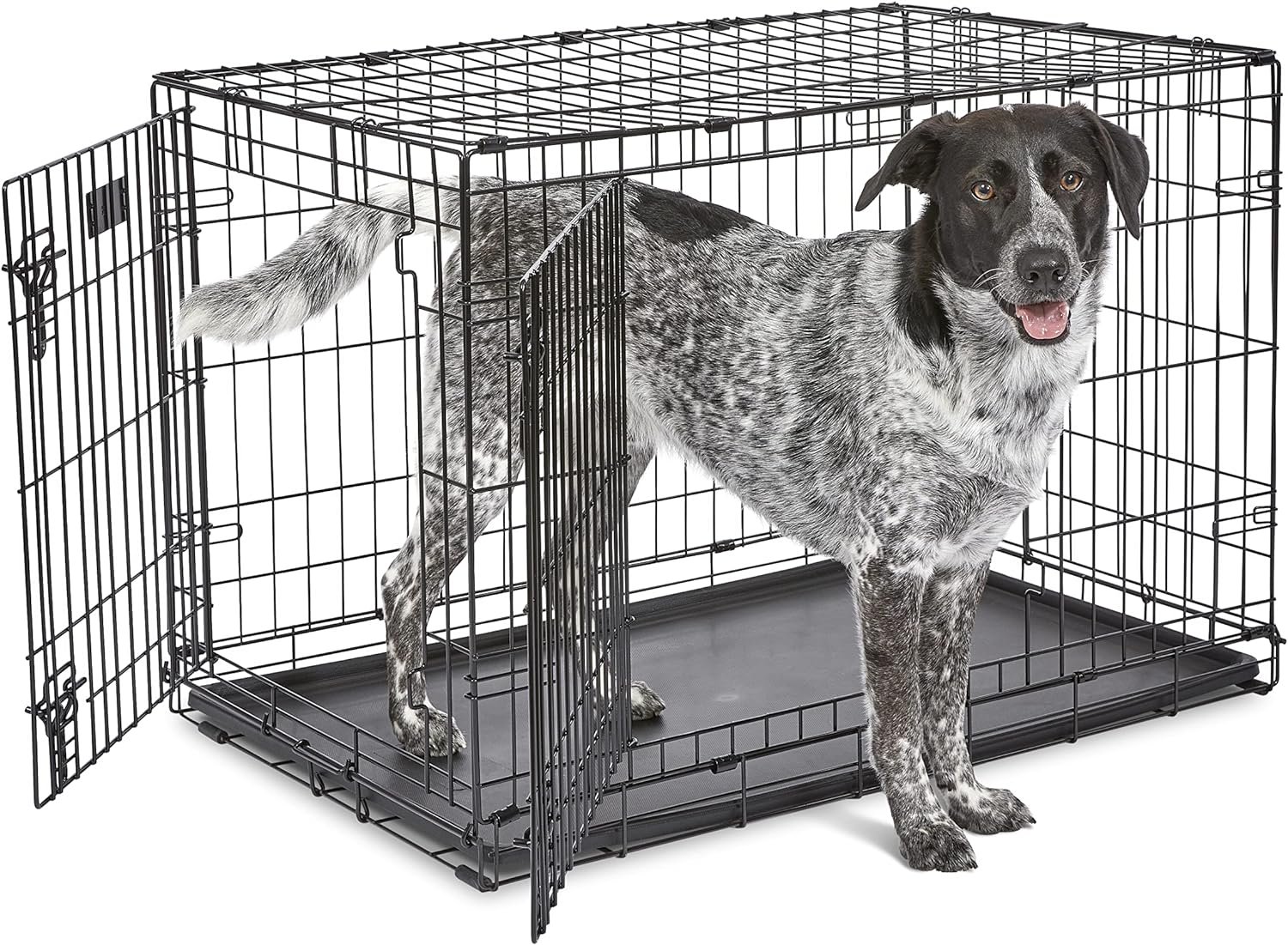 midwest homes for pets newly enhanced double door icrate dog crate includes leak proof pan floor protecting feet divider