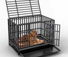 Escape-Proof Dog Crate Review